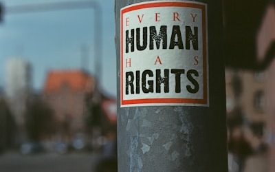 Droits humains: L’environnement sain, un droit fondamental ?