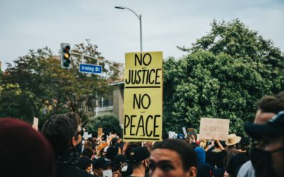 Défense droits humains : signaux d’alerte au Canard Enchaîné