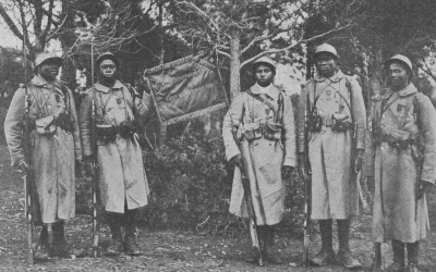 Protection des Tirailleurs : Droits Humains et Mémoire