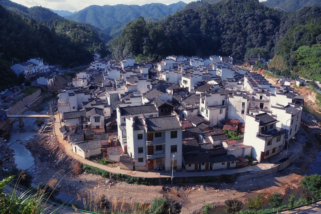 Défense des droits humains en Syrie : enjeux et solutions