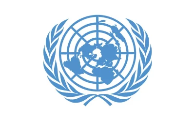 Prévention des Violations en Centrafrique: Droits Humains en Jeu