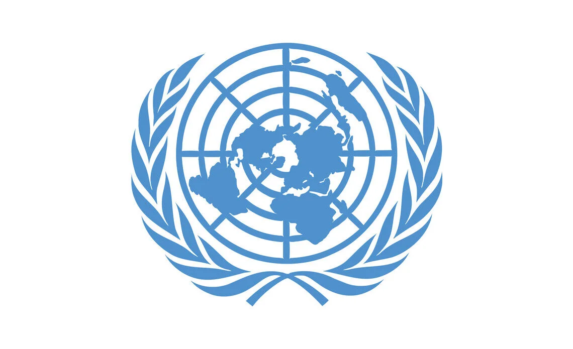 Prévention des Violations en Centrafrique: Droits Humains en Jeu