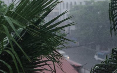 ONU : Droits Humains Menacés par le Typhon Fung-wong