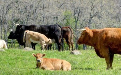 Apprentissage des droits humains: Défi sanitaire et économique