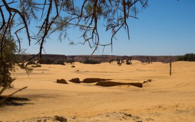 Recours légaux face au blocus jihadiste violant les droits