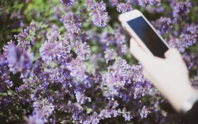 Prévention santé : app suisse protège droits allergiques