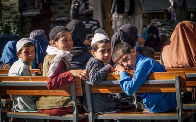 Protection scolaire : comment prévenir les fusillades ?