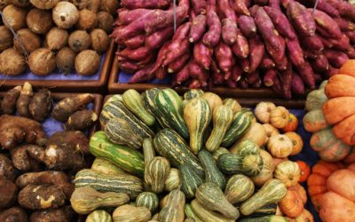 Sensibilisation : nutrition et désinformation, quel droit santé ?