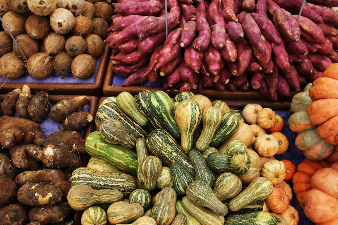 Sensibilisation : nutrition et désinformation, quel droit santé ?