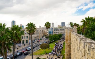Formation protection civils Jérusalem : droits DUDH